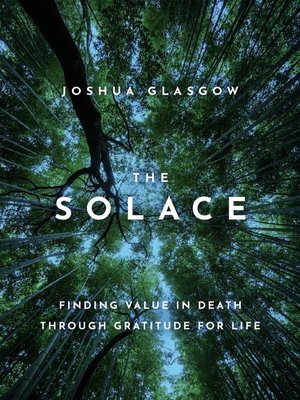 cover image of The Solace